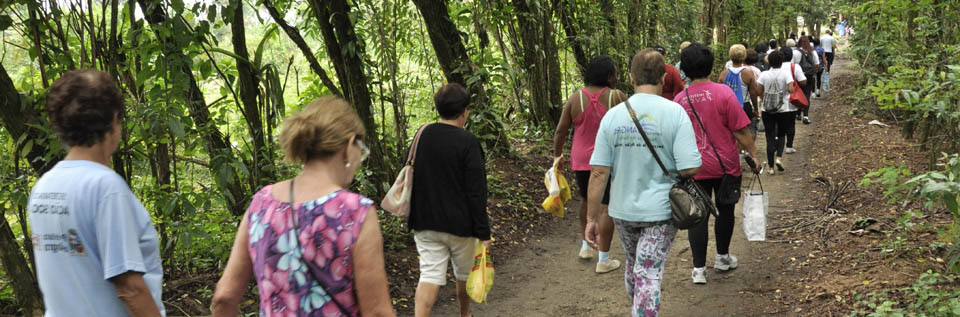 Notícia