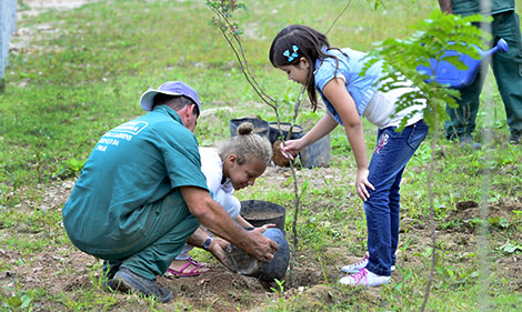 Capa da notícia: Educação ambiental no Dia da Árvore
