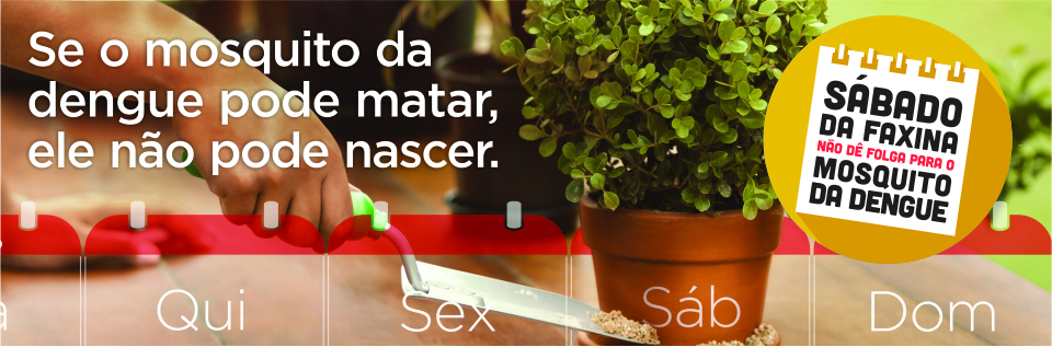 Notícia