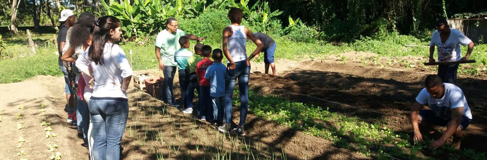 Capa da notícia: Horta Solidária estimula hábitos alimentares mais saudáveis