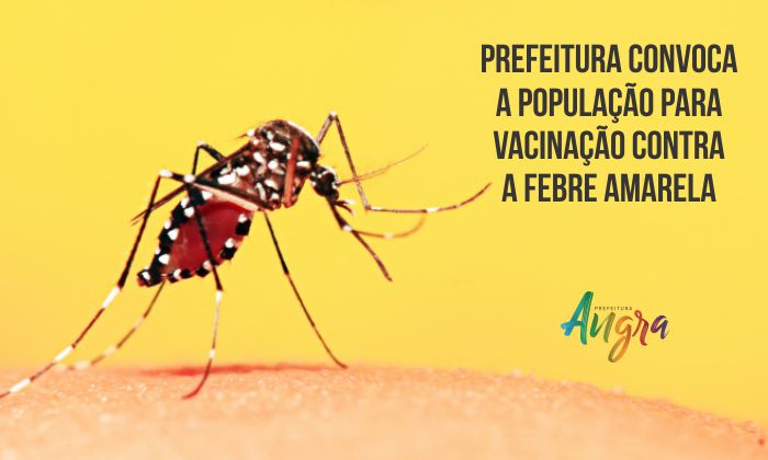 Capa da notícia: Prefeitura convoca para vacinação contra a febre amarela