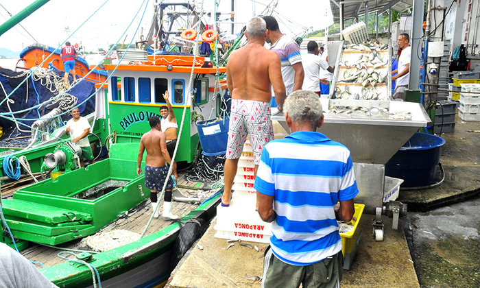 Capa da notícia: Defeso da sardinha chega ao fim