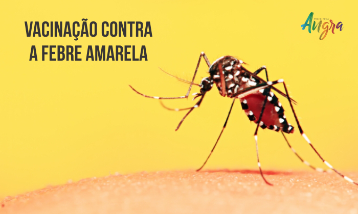 Capa da notícia: O Dia D contra a febre amarela
