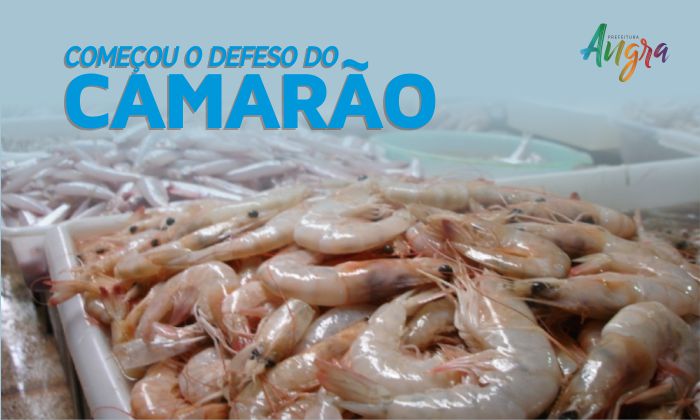 Capa da notícia: Começou dia 1º de março o defeso do camarão