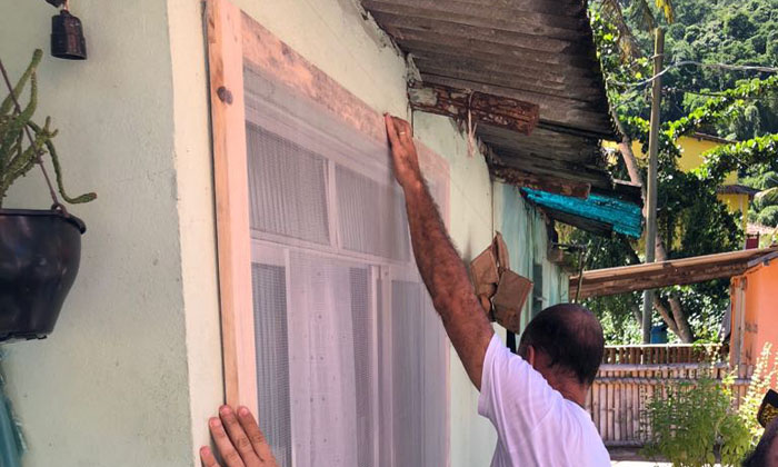 Capa da notícia: Telas com inseticidas nas janelas contra a febre amarela