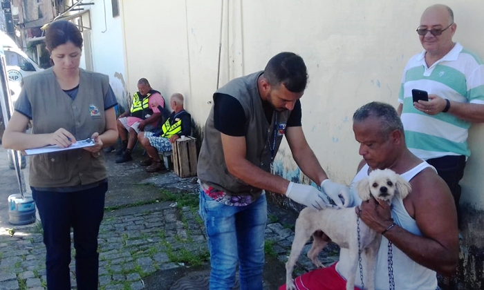 Capa da notícia: 304 animais vacinados contra raiva animal, no Centro e Frade