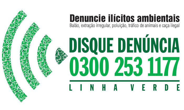 Capa da notícia: Disque-Denúncia Angra ajuda a combater crimes ambientais