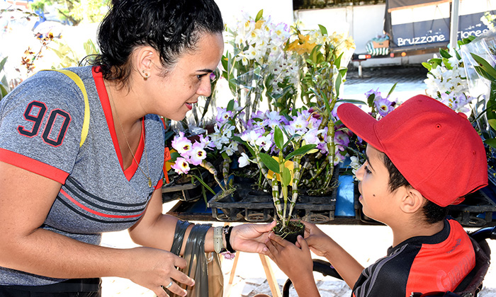 Capa da notícia: Angra recebe exposição de orquídeas
