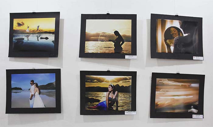 Capa da notícia: Cores – Vida – Forma em exposição na Casa de Cultura