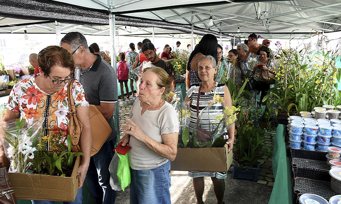 Capa da notícia: Festival de Orquídeas de Angra dos Reis
