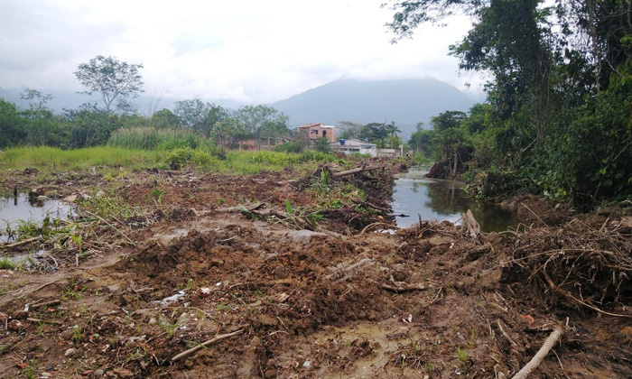 Capa da notícia: Linha Verde leva polícia a combater crime ambiental