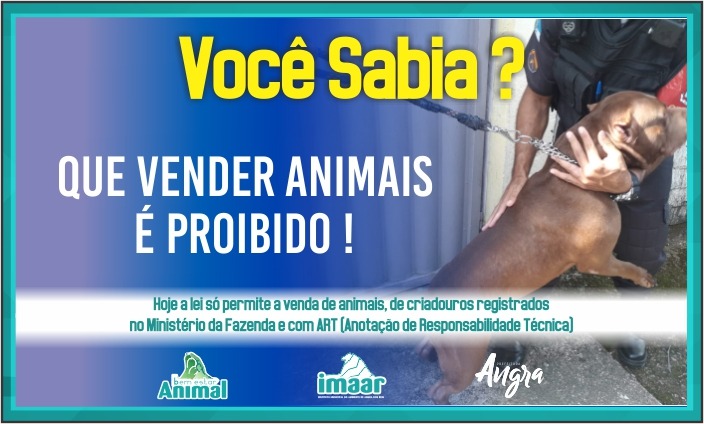 Capa da notícia: Vender animais é crime. Você sabia?