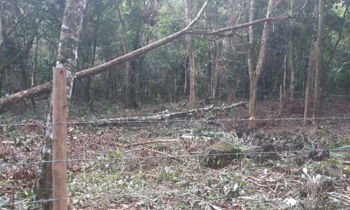 Capa da notícia: Desmatamento e extração de barro em Angra são denunciados