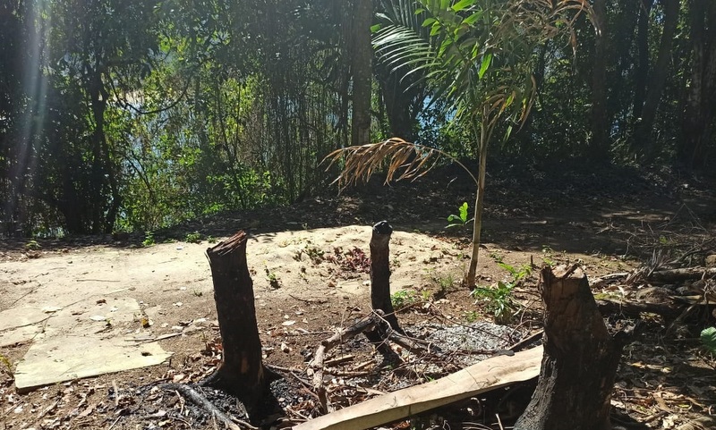 Capa da notícia: Desmatamento em área de preservação ambiental