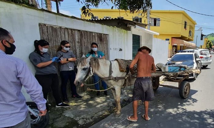 Capa da notícia: Homem é detido por maus tratos contra os animais