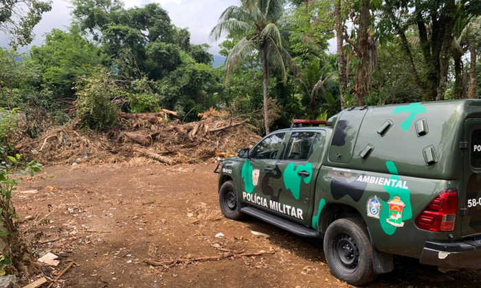 Capa da notícia: Linha Verde leva a identificação de área desmatada