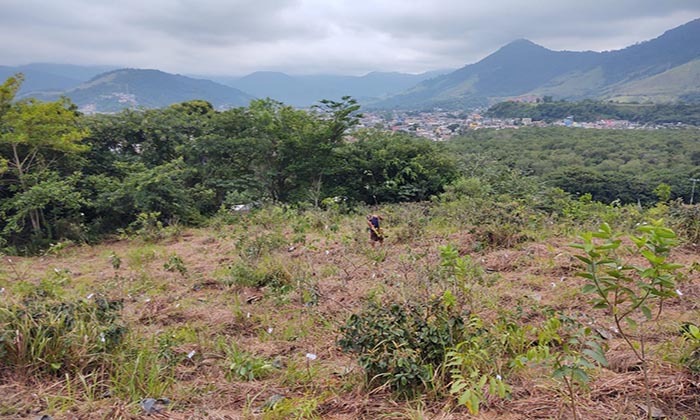 Capa da notícia: Recuperação ambiental no Encruzo da Enseada