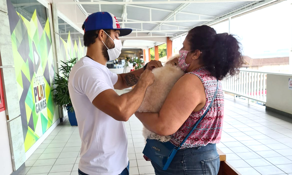 Capa da notícia: 3.474 cães e gatos vacinados contra a raiva no sábado