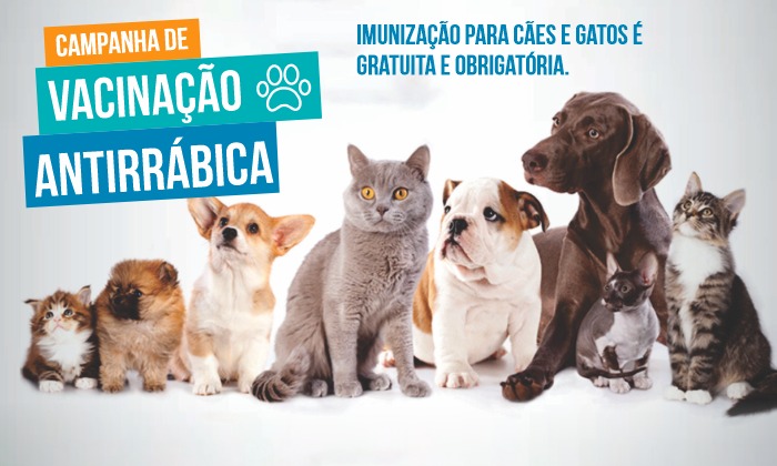 Capa da notícia: Vacinação antirrábica: saiba onde imunizar cães e gatos