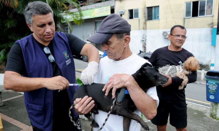 Capa da notícia: Ilha Grande receberá campanha de vacinação antirrábica de cães e gatos