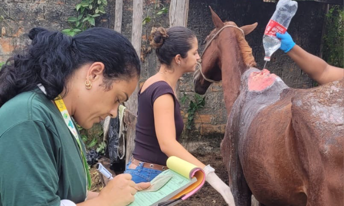 Capa da notícia: Abril Laranja conscientiza sobre maus-tratos a animais