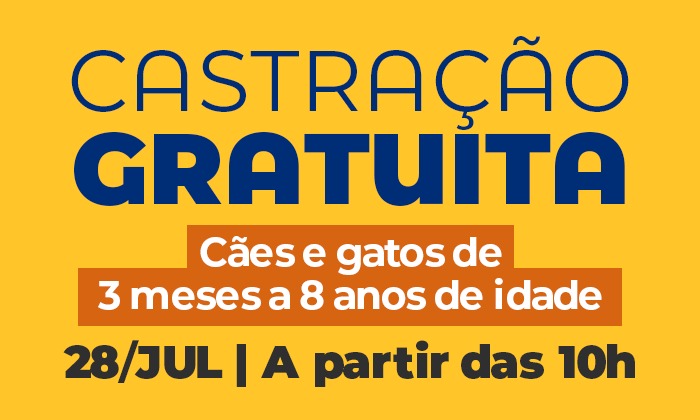 Notícia
