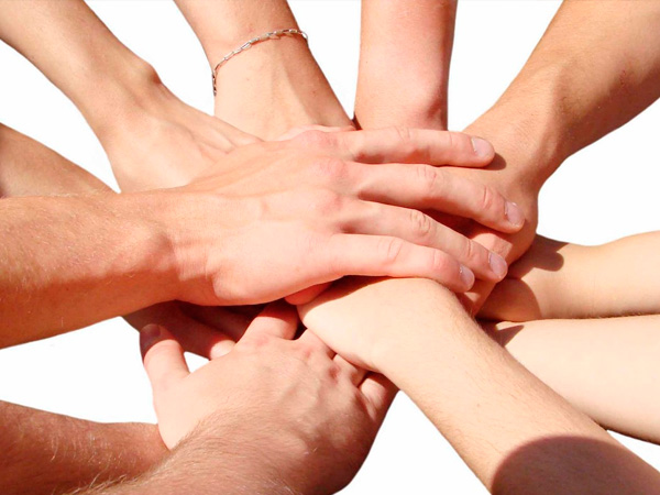 Assistência social