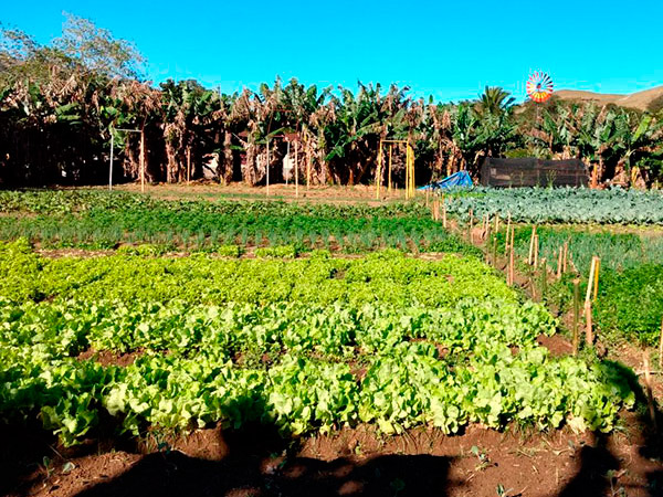 Agricultura